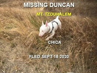 HAPPY ENDINGS - DUNCAN BC - SEPT 18, 2020