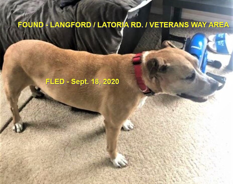 HAPPY ENDINGS - LANGFORD BC - SEPT 17, 2020