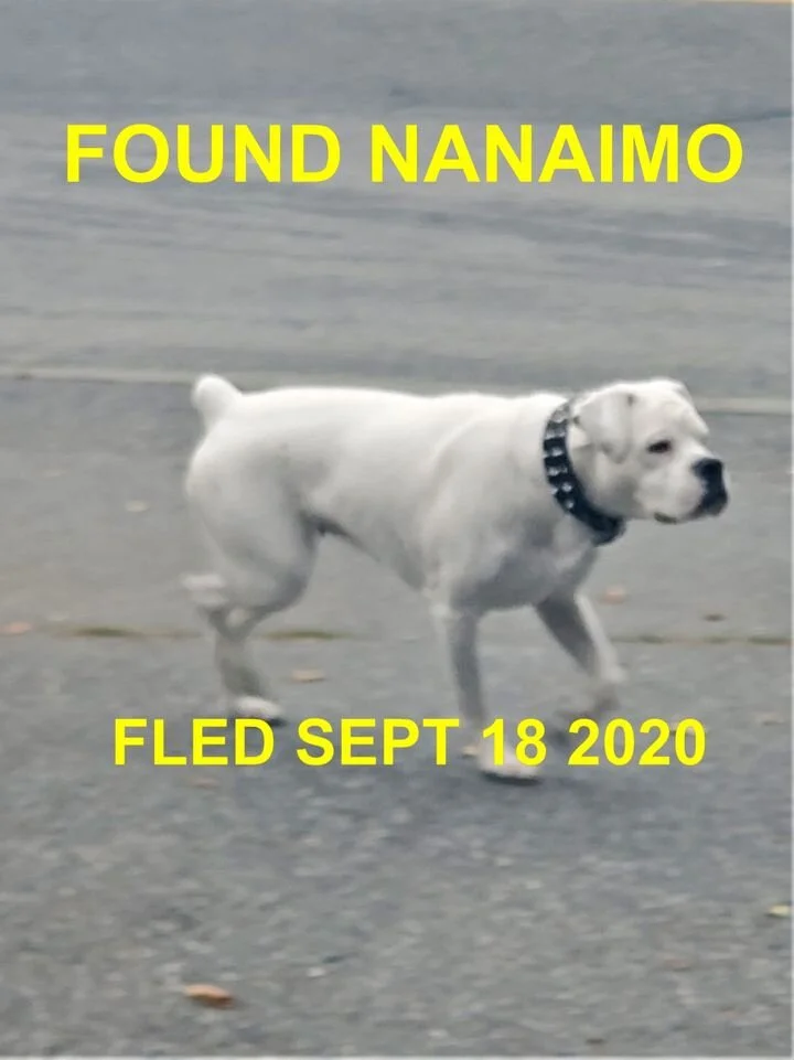 HAPPY ENDINGS - NANAIMO BC - SEPT 18, 2020