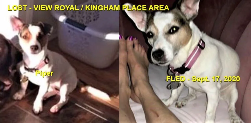 HAPPY ENDINGS - VIEW ROYAL BC - SEPT 17, 2020