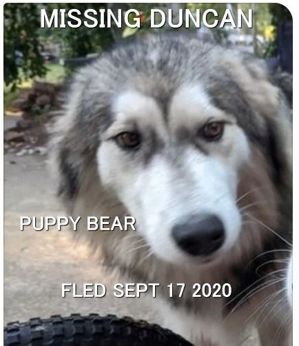 HAPPY ENDINGS - DUNCAN BC - SEPT 17, 2020