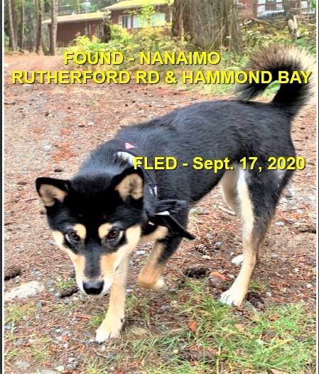 HAPPY ENDINGS - NANAIMO BC - SEPT 17, 2020
