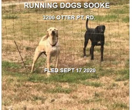 UNRESOLVED - SOOKE BC - SEPT 17, 2020