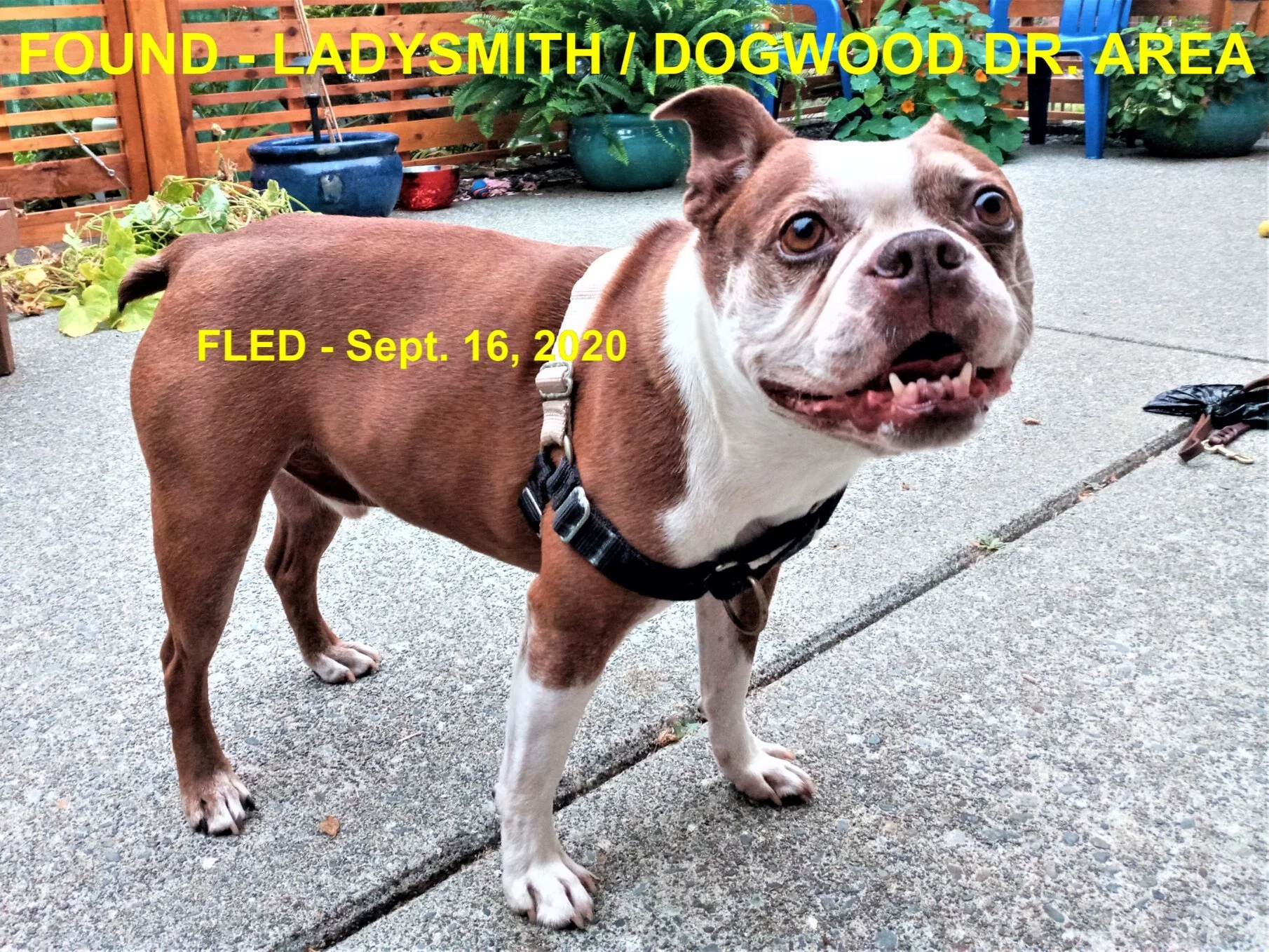 HAPPY ENDINGS - MILL BAY BC - SEPT 16, 2020