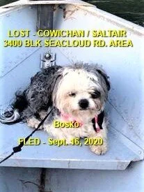 HAPPY ENDINGS - COWICHAN / SALTAIR BC - SEPT 16, 2020