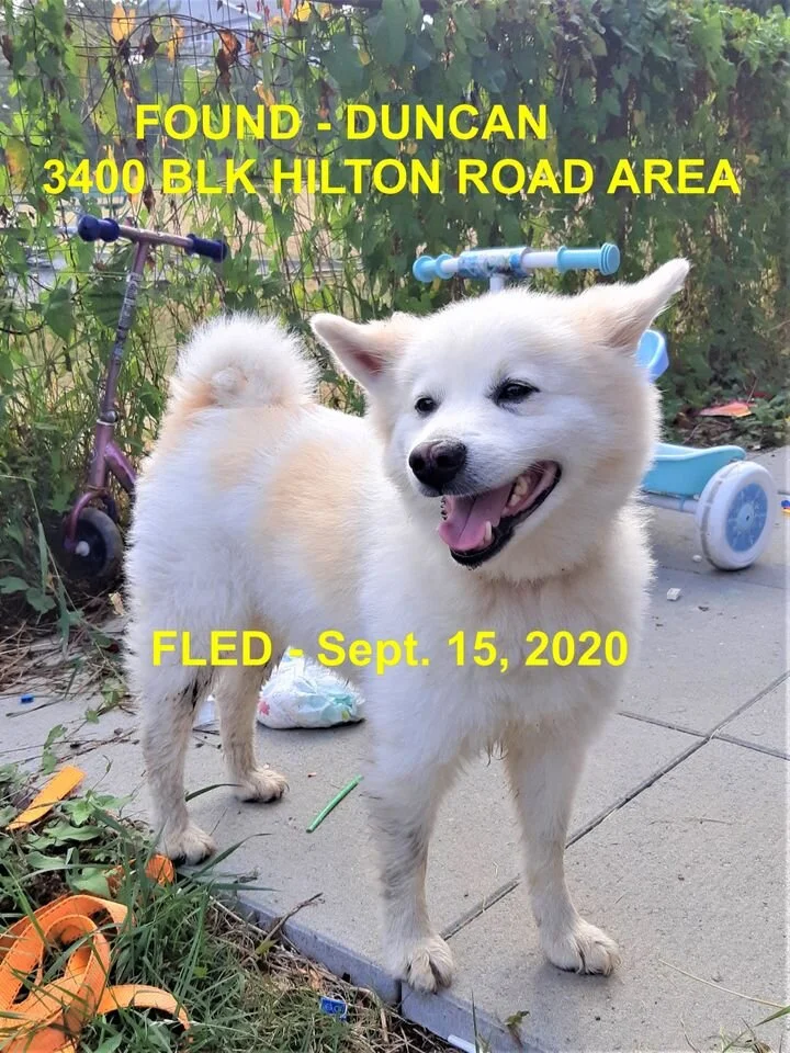 HAPPY ENDINGS - DUNCAN BC - SEPT 15, 2020