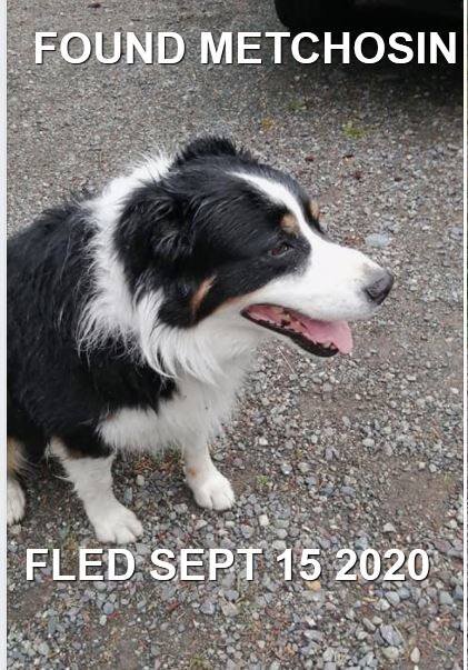 HAPPY ENDINGS - METCHOSIN BC - SEPT 15, 2020