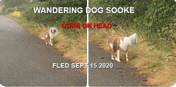 UNRESOLVED - SOOKE BC - SEPT 15, 2020