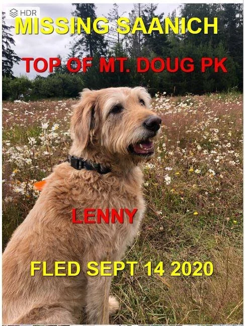 HAPPY ENDINGS - SAANICH BC - SEPT 14, 2020