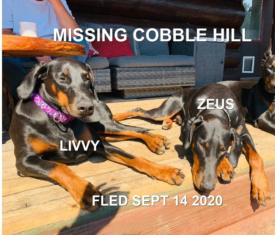 HAPPY ENDINGS - COBBLE HILL BC - SEPT 14, 2020