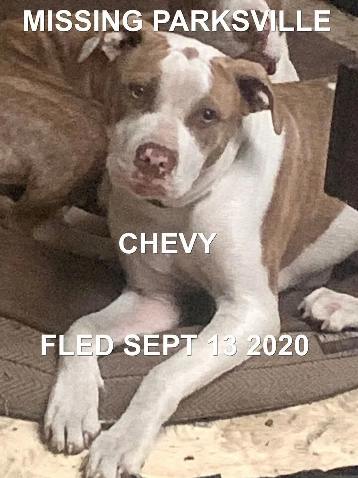 HAPPY ENDINGS - PARKSVILLE BC - SEPT 13, 2020