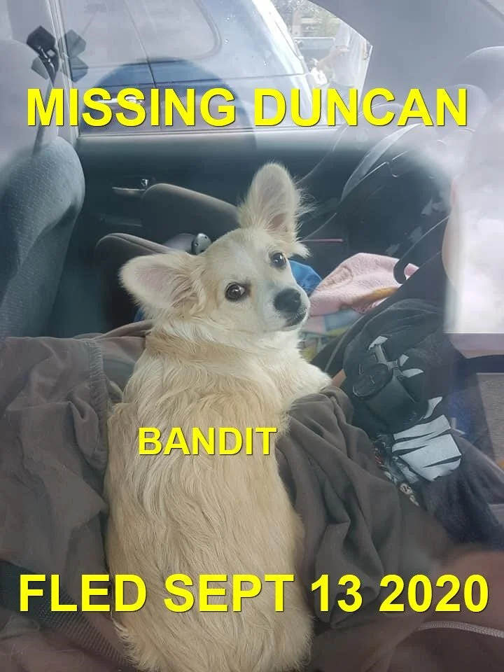 HAPPY ENDINGS - DUNCAN BC - SEPT 13, 2020