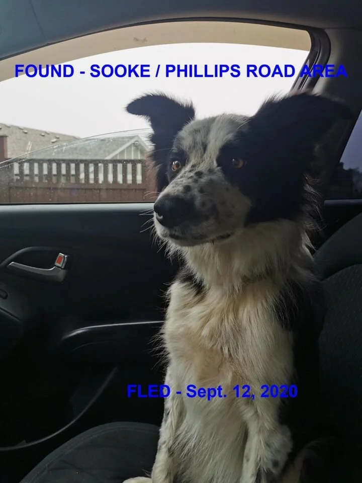 HAPPY ENDINGS - SOOKE BC - SEPT 12, 2020