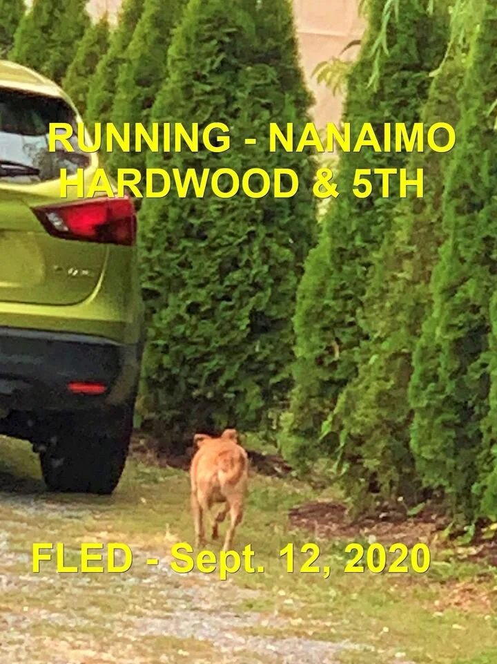 UNRESOLVED - NANAIMO BC - SEPT 12, 2020