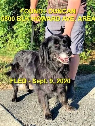 HAPPY ENDINGS - DUNCAN BC - SEPT 9, 2020