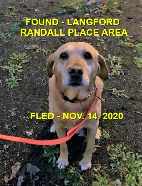 HAPPY ENDINGS - LANGFORD BC - NOV. 14, 2020