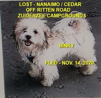 HAPPY ENDINGS - NANAIMO BC (CEDAR) - NOV. 14, 2020