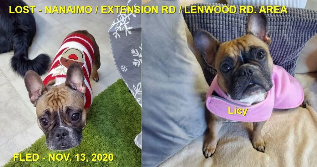 HAPPY ENDINGS - NANAIMO BC - NOV. 13, 2020