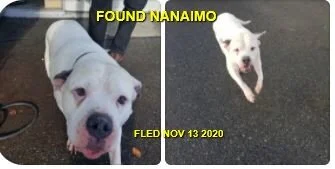 HAPPY ENDINGS - NANAIMO BC. - NOV. 13M 2020