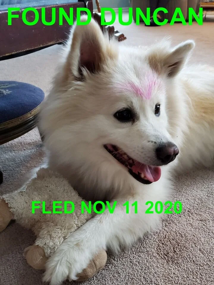 HAPPY ENDINGS - DUNCAN BC - NOV. 11, 2020