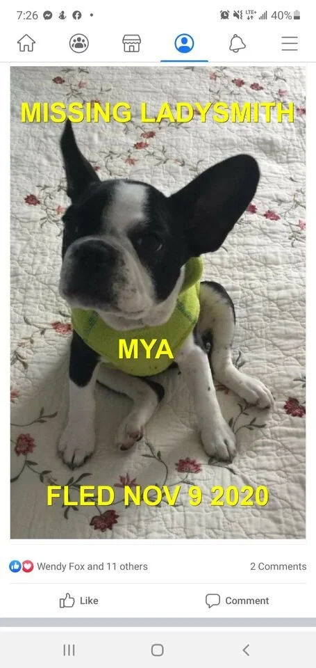 HAPPY ENDINGS - LADYSMITH BC - NOV 9, 2020