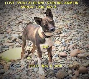 HAPPY ENDINGS - PORT ALBERNI - OCT. 31, 2020