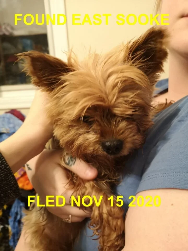 HAPPY ENDINGS - EAST SOOKE BC - NOV 14, 2020