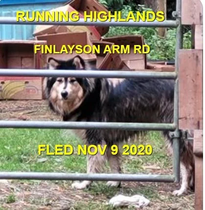 UNRESOLVED - HIGHLANDS BC - NOV. 9, 2020