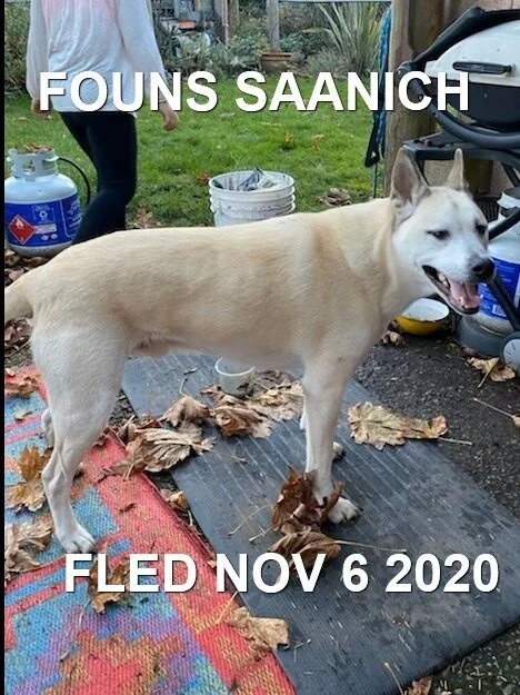 HAPPY ENDINGS - SAANICH BC - NOV. 6, 2020