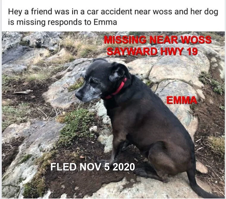 OVER THE RAINBOW BRIDGE - EMMA - NOV 5, 2020