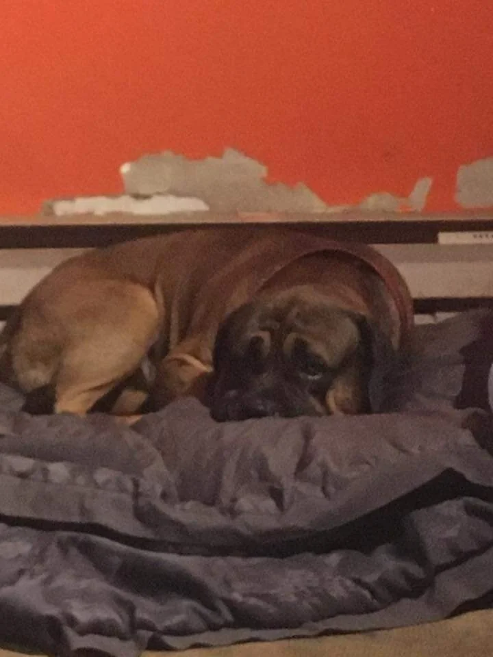 COURTESY POST - COMOX - SPIDER/HORN LAKE - NOV. 5, 2020