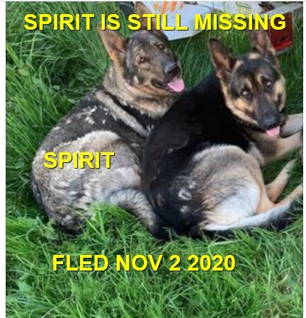 HAPPY ENDING - BOWSER BC - NOV. 1, 2020