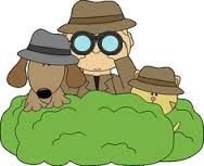 PSA - WHAT TO DO IF YOU THINK YOU SEE A STOLEN DOG