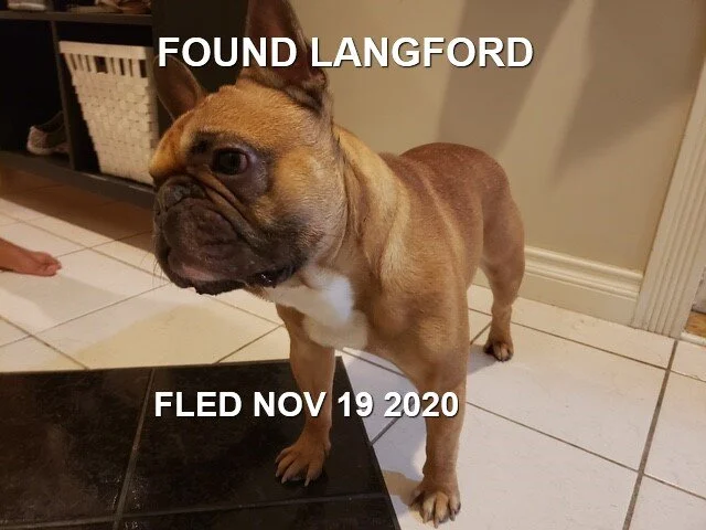 HAPPY ENDINGS / GONE HOME - LANGFORD BC - NOV. 19, 2020