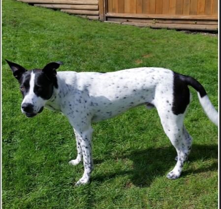 STILL MISSING - COQUIITLAM BC - NOV 18, 2019