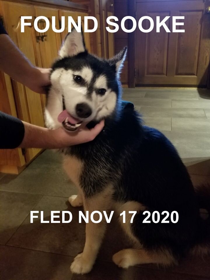 HAPPY ENDINGS - SOOKE BC - NOV 17, 2020