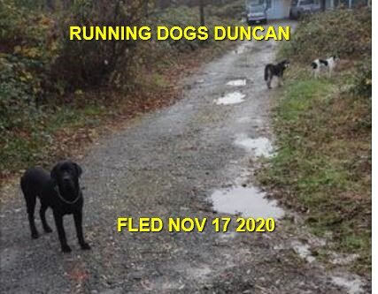 UNRESOLVED - DUNCAN BC - NOV. 17, 2020