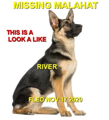 HAPPY ENDINGS - MALAHAT BC - NOV 17, 2020