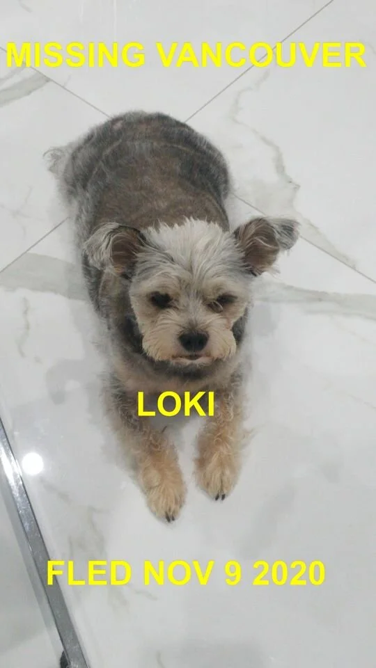 STILL MISSING - VANCOUVER BC - NOV 9, 2020