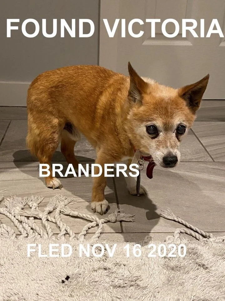 HAPPY ENDINGS - VICTORIA BC - NOV 16, 2020