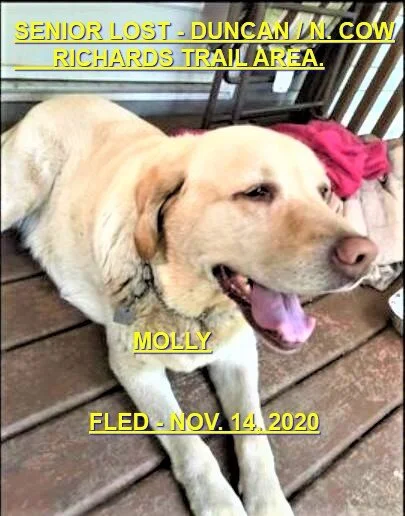 HAPPY ENDINGS - DUNCAN BC - NOV 14, 2020