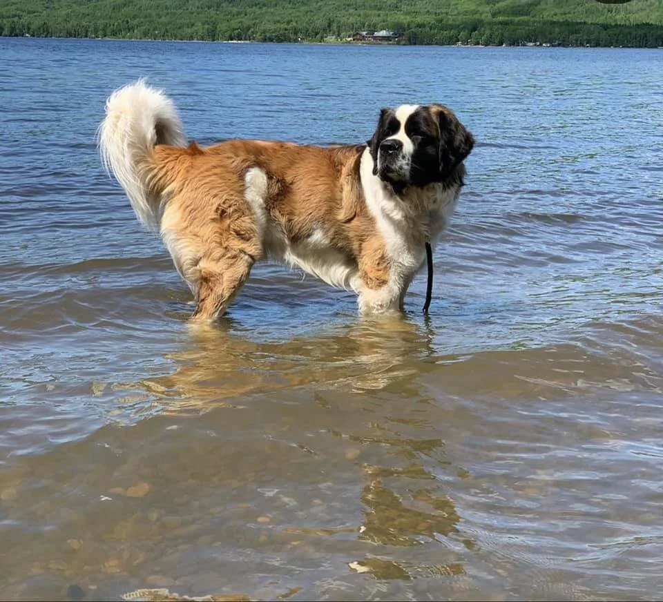 STILL MISSING - CHETWYND BC - OCT. 16, 2020