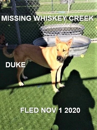 HAPPY ENDINGS - WHISKEY CREEK BC - OCT. 31, 2020