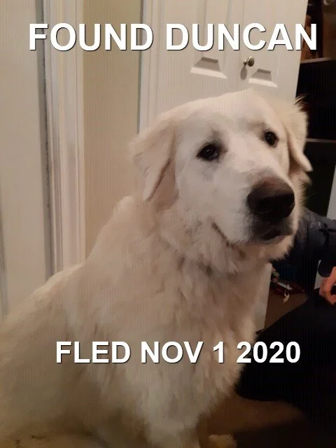 HAPPY ENDINGS - DUNCAN BC - NOV 1, 2020