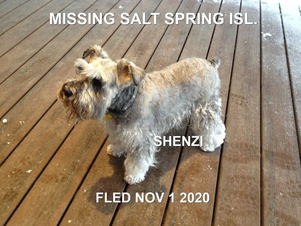 HAPPY ENDINGS - SALT SPRING ISLAND BC - OCT. 31, 2020