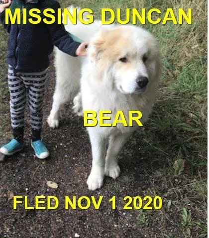 HAPPY ENDINGS - DUNCAN BC - OCT. 30, 2020