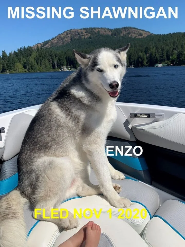 HAPPY ENDINGS - SHAWNIGAN LAKE BC - OCT 31, 2020