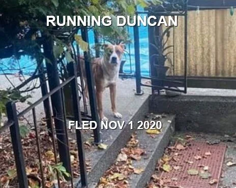 UNRESOLVED - DUNCAN BC - NOV. 1, 2020