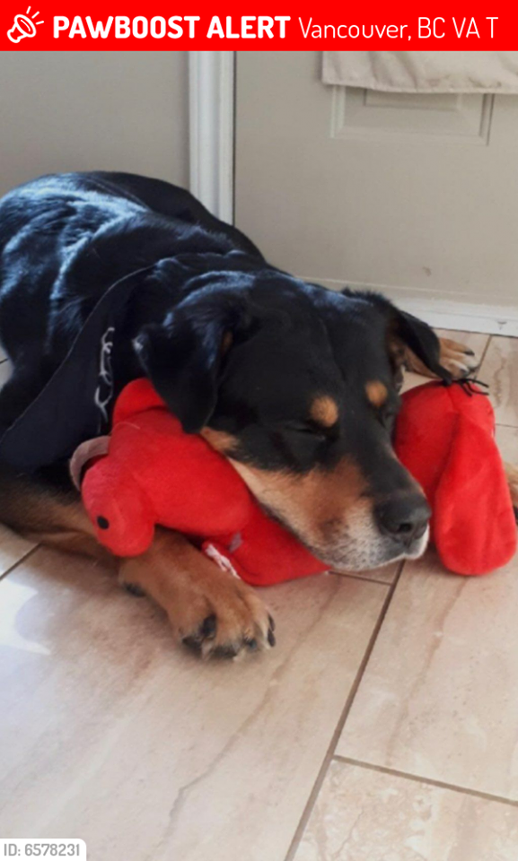 HAPPY ENDINGS - VANCOUVER BC - 