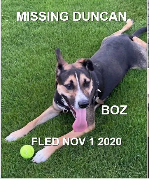 HAPPY ENDINGS - DUNCAN BC - NOV 1, 2020